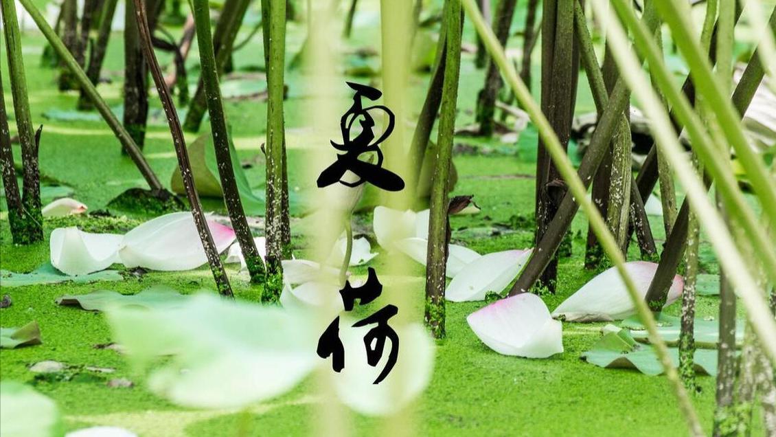 明日农历六月十一，“十一有三怕”，到底在怕什么？为啥要怕呢？