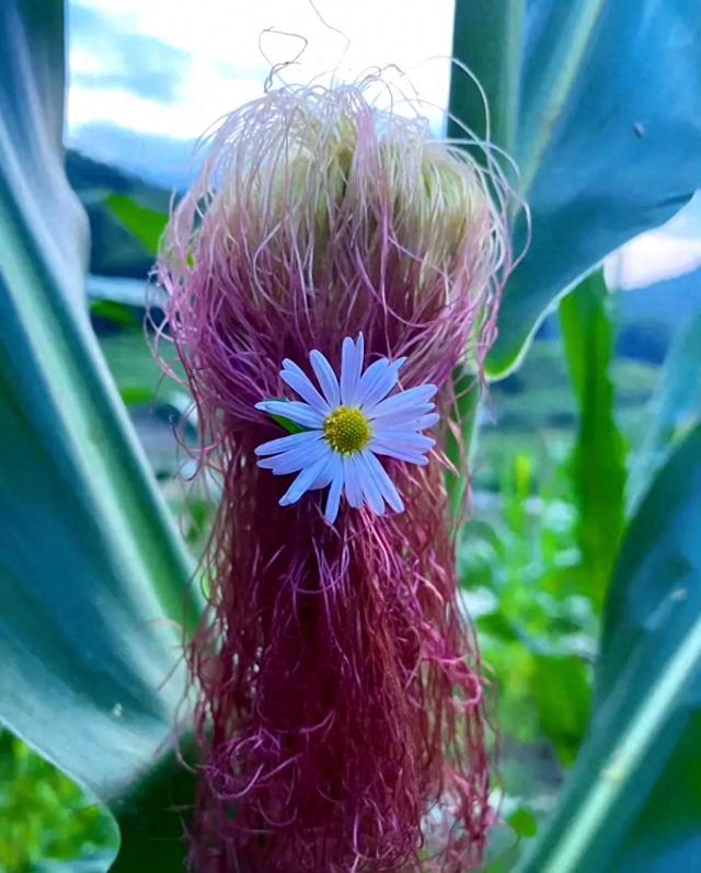 田野发型师\uD83D\uDE0D