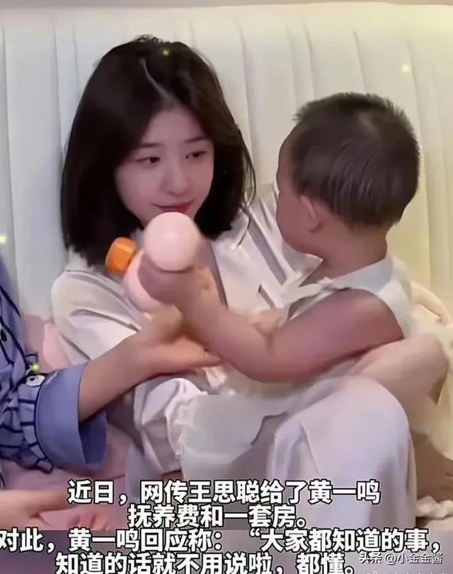 破案了,黄一鸣偷偷给王思聪生孩子的原因,终于找到了