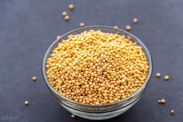 老年人常年咳嗽，一个方子3味药，温肺化痰化痰止咳！