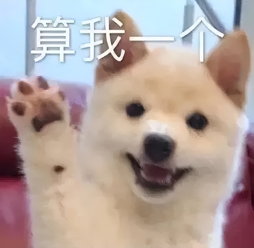 52岁朱茵容颜大变撞脸马苏？！被曝住深山残屋，成娱圈李子柒