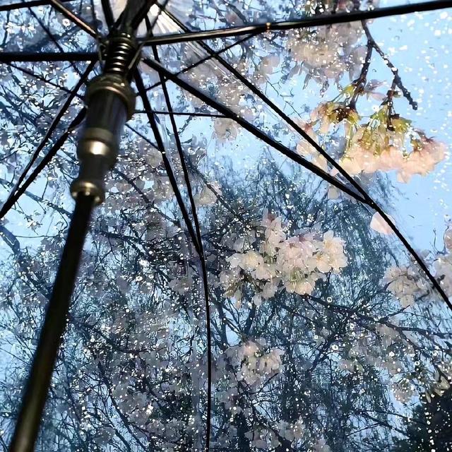 做事低调,人品过硬,职场发展一顺到底的星座