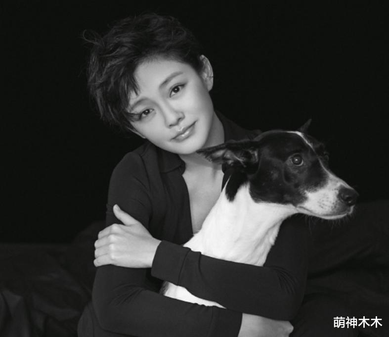 大S自乱阵脚！律师发声帮倒忙连忙删文，台媒曝服药致幻确有其事