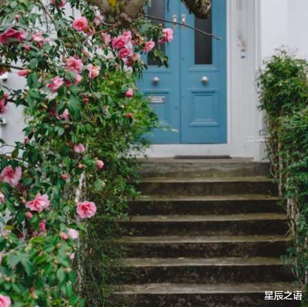 十二生肖职场防小人秘籍，助你顺利过今年！