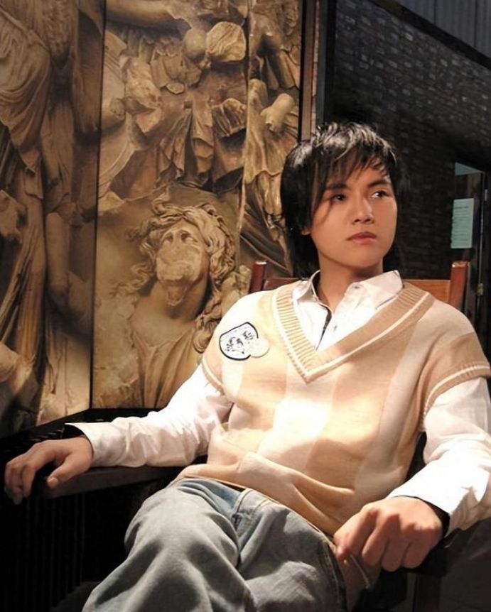 “昙花一现”的6位歌手:患病、转型、被排挤,如今大都无人问津