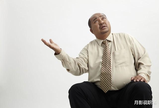 求职就业新方向，2024年你的新机会来了！死磕紧盯这3个方向