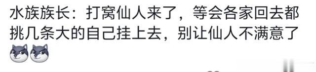 钓鱼人在那一坐几个小时不会无聊吗?空军 打窝王别进,评论笑死了