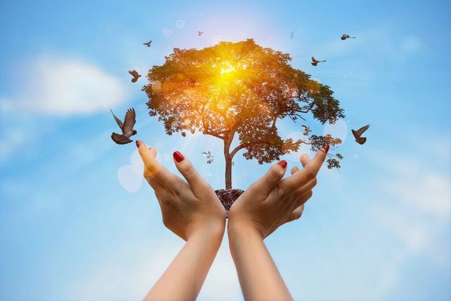 减肥≠挨饿!健康减肥才是硬道理