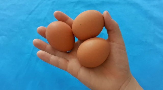 为什么鸡蛋价格一直在涨?我也今天刚知道,立马告知家人越快越好