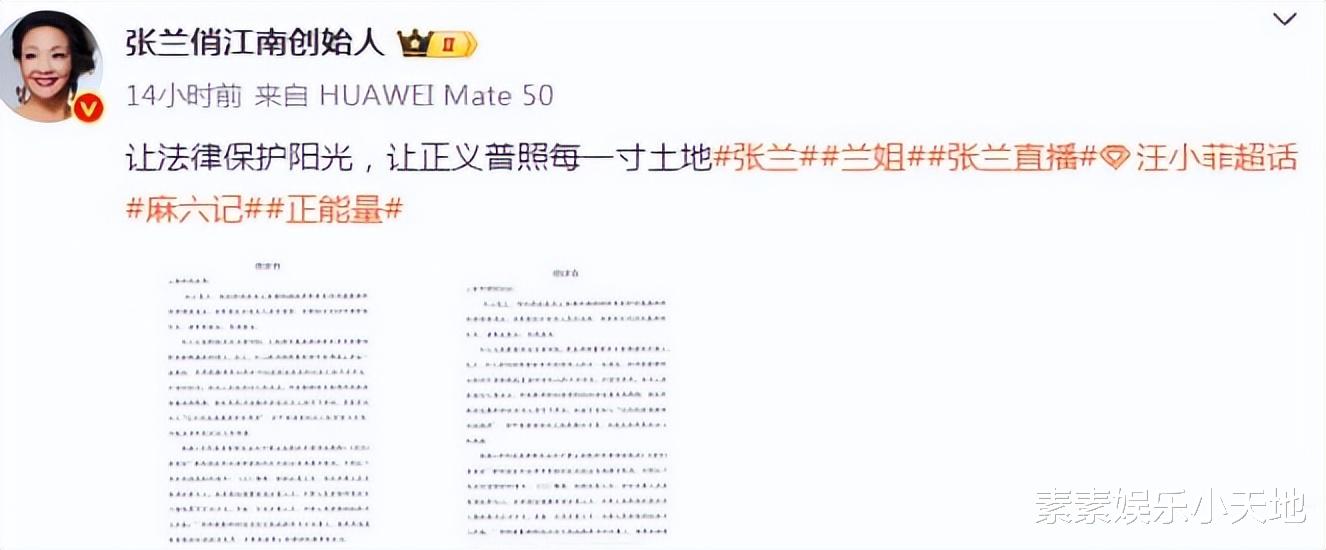 大S律师怒怼张兰：你和你儿子，得不到徐熙媛就毁掉徐熙媛