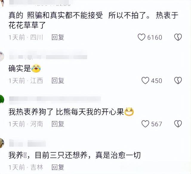 笑麻了，年轻人“上班恶心穿搭”引热议，网友：上班连脸都懒得洗