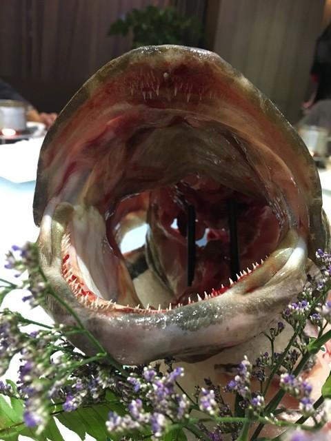 徐冬冬新片擦边球，观众直呼受不了！差评如潮票房却飙升榜首？