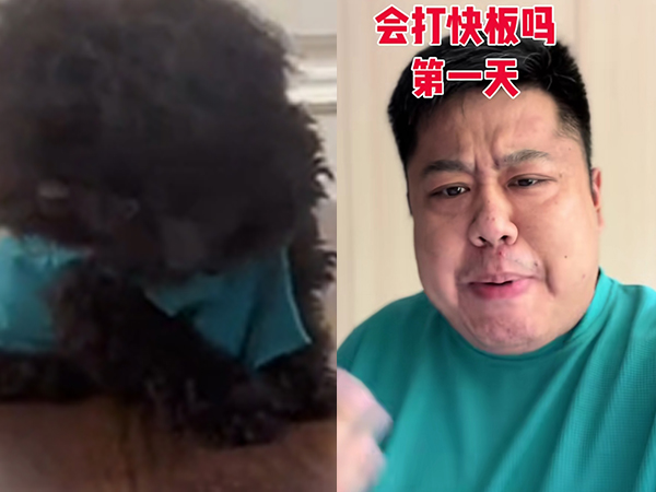 相声圈继续“窝里斗”,杨少华发视频替儿子出气,闹剧该停止了