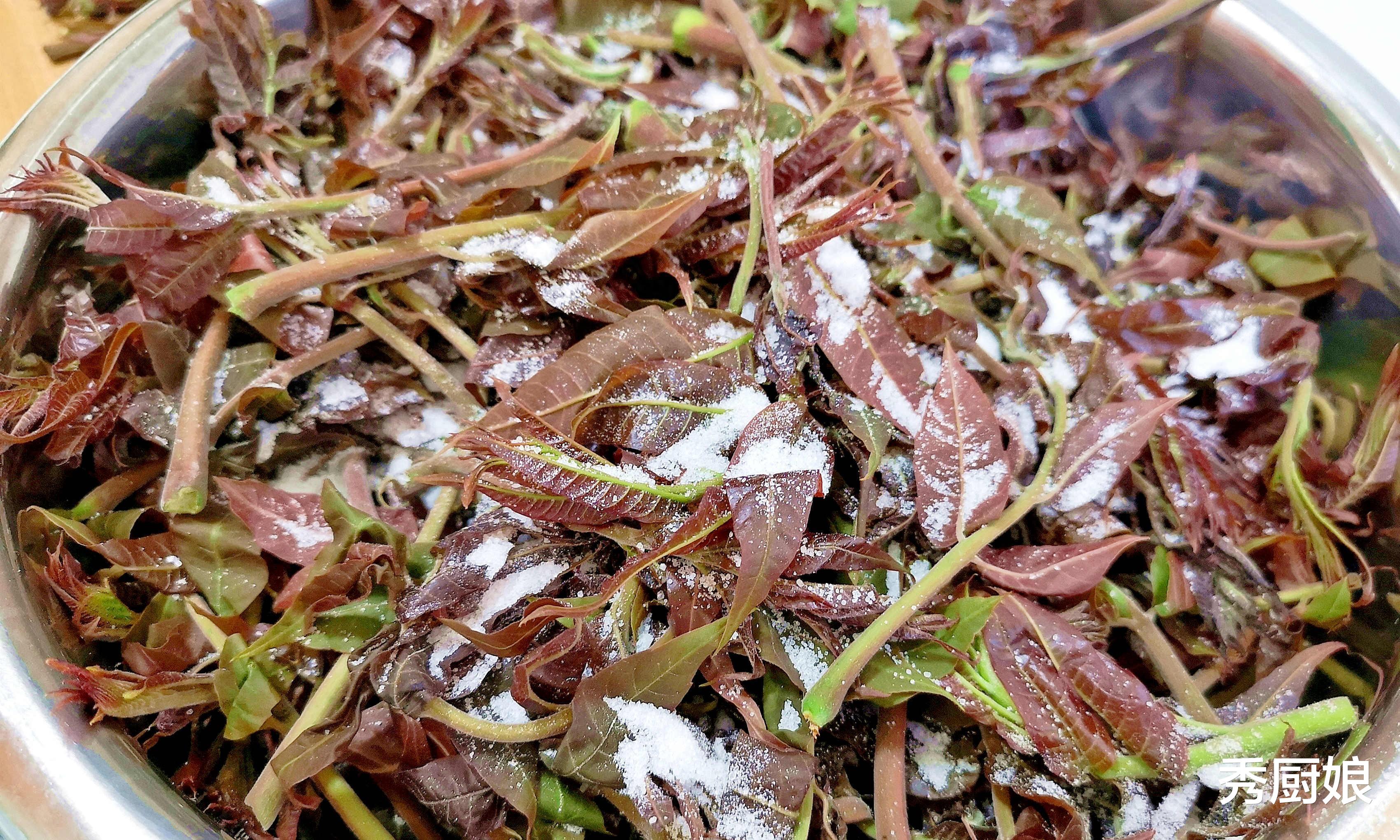 春天“第一鲜”，浑身是宝，农村没人吃，城里论两买，错过等1年