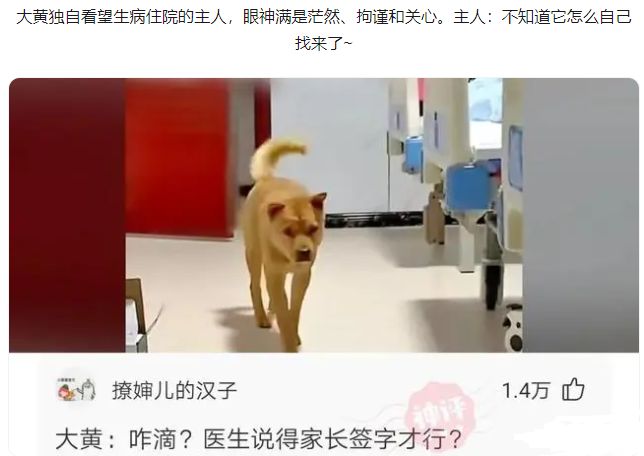 轻松一刻:必须要风风光光的办,不差钱!