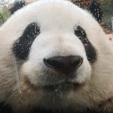 三农的生活