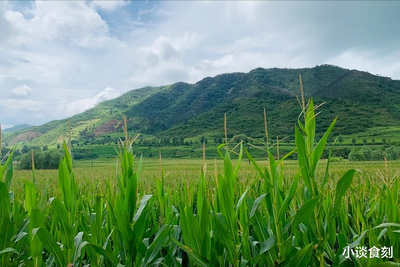 5月5日立夏，老传统：做3事，吃3样，忌1事，消灾降福保平安