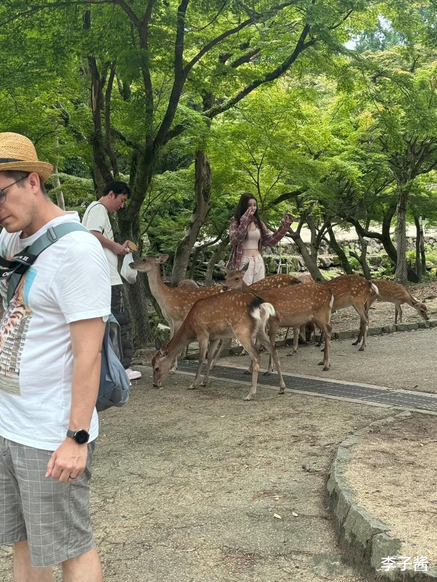 王思聪去奈良喂鹿,不顾新女友专心喂鹿,新女友懒懒只顾拍照留念