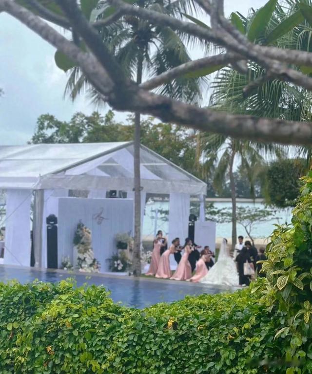 谢娜终于大方了一回,给陈乔恩结婚份子钱曝光,总算摆脱抠门标签