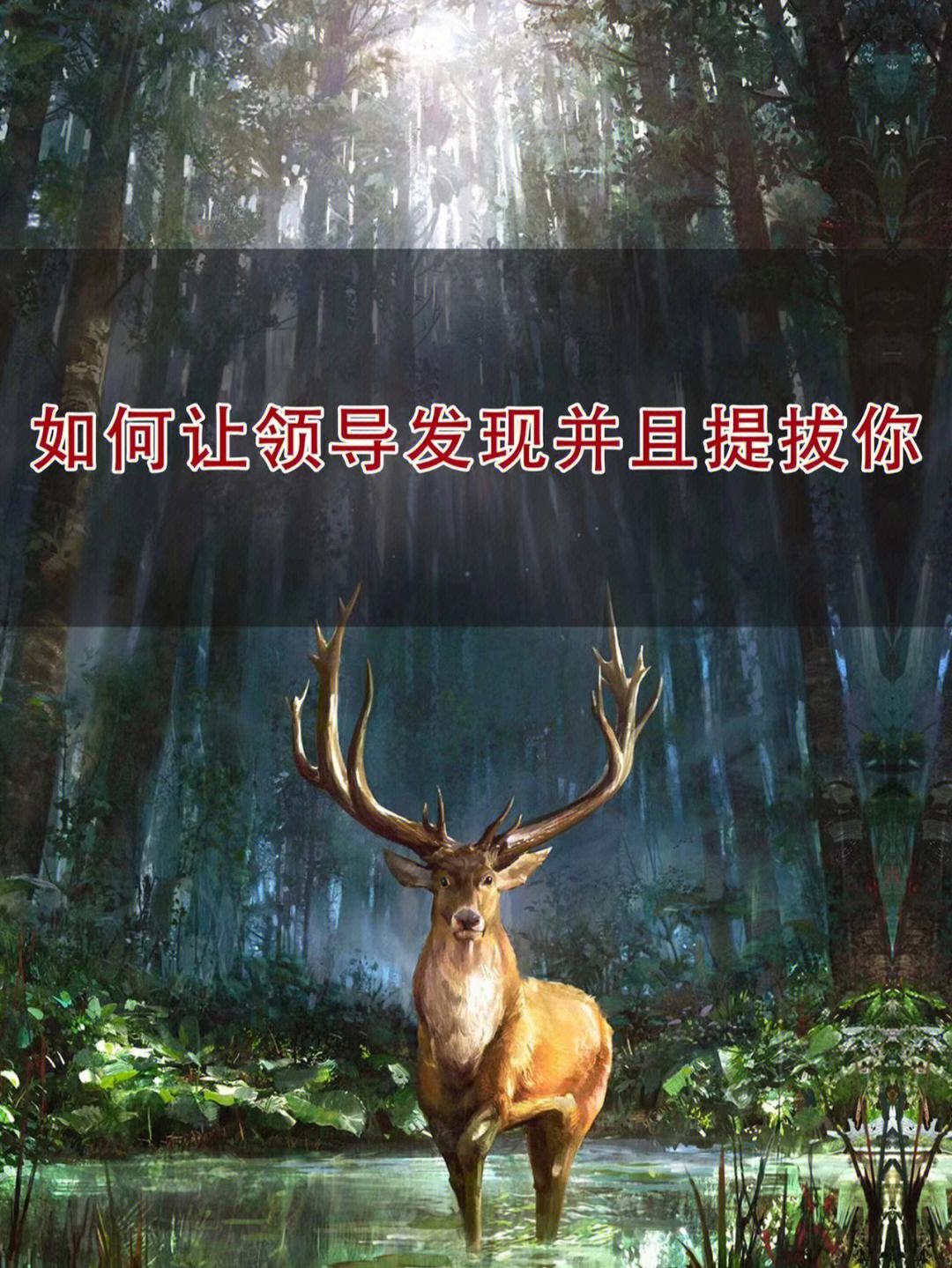 近距离揭秘:提拔飞快的人为何会来事会说话