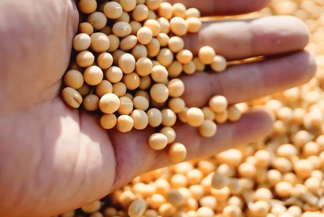 桃子是心脏“强化剂”?提醒:常年心脏不好的人,这3物不妨多吃