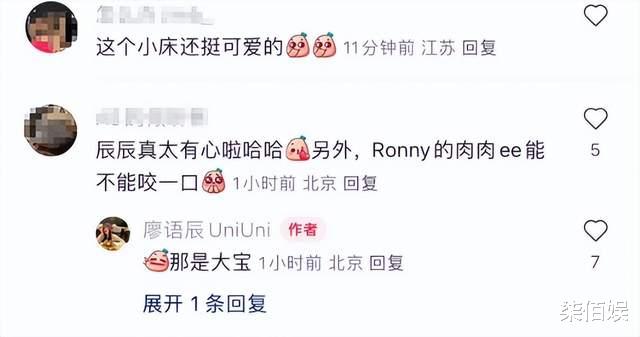 苏醒小11岁妻生俩儿后仍不封肚,廖语辰晒婴儿车亲口承认追生三胎