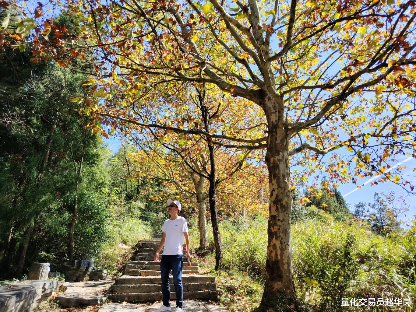 职业交易员五一假期的生活点滴：家庭、运动与投资的完美融合