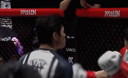 巨亏2亿,上映一天就被判死刑,“武侠之王”徐浩峰也救不了向佐