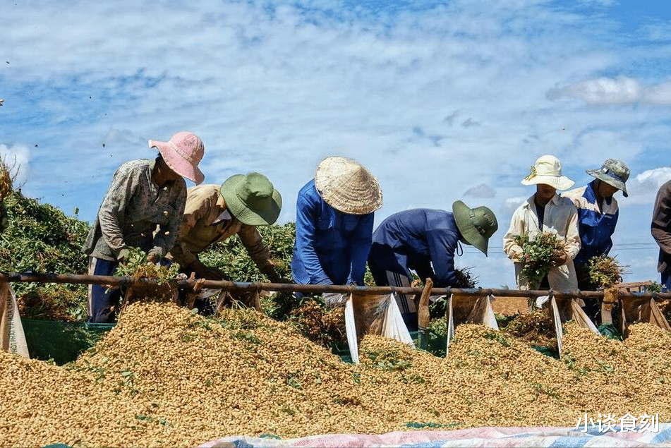 下周三立秋不一般?有3个好消息,1个坏消息,提醒大家早做准备