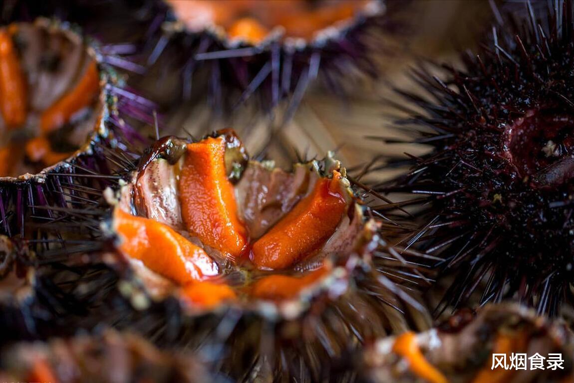 7月,吃什么海鲜?老渔民推荐这10种,新鲜,肥美,错过再等一年