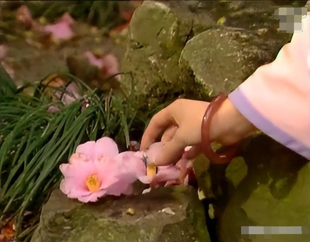 新版林黛玉被质疑，张淼怡发文道歉，网友：还不如张本智和来演！