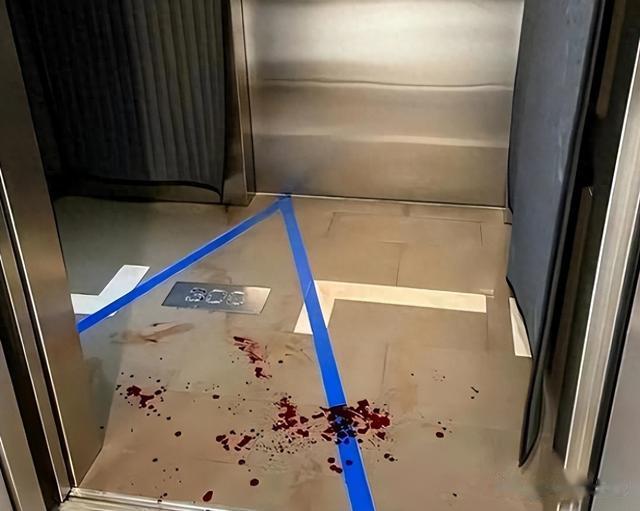 何嘉文|非诚勿扰女嘉宾被领走，结婚后将丈夫杀害，只因丈夫不是富二代!