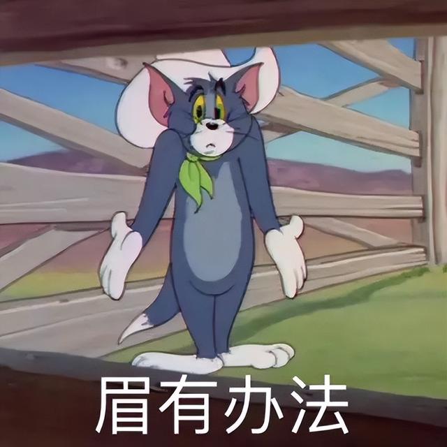 又一个捅破天的国产自研，终于来啦