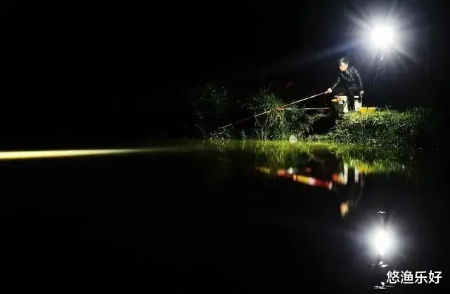 夜钓高手都是怎样炼成的？揭秘夜钓黄金时段，你准备好了吗？