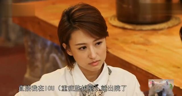 事实证明,42岁的“央视名嘴”杨帆,已经彻底走上一条人生大道