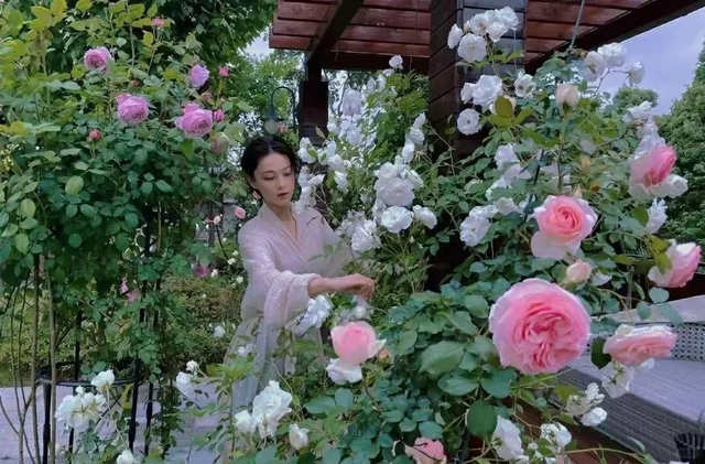 张馨予的豪宅曝光，无数人直呼羡慕: 花海美不胜收，菜园圈粉百万