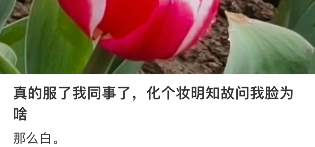 因为上等人优越感而崩塌的高知美人?全网懂她悲伤的人估计是晚晚