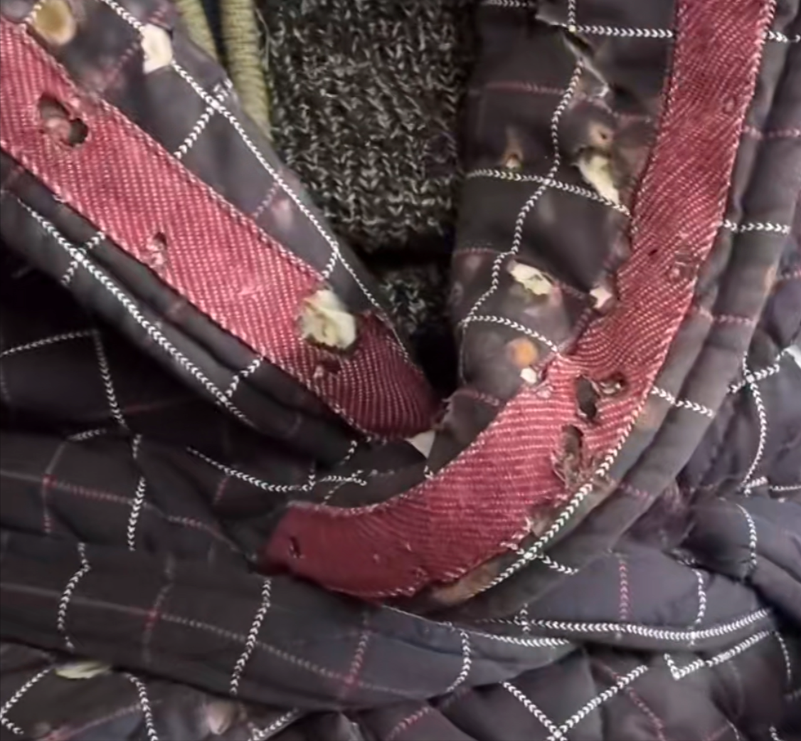 88岁焦晃状态堪忧:或被小31岁娇妻榨干精气,网友:还不如张纪中