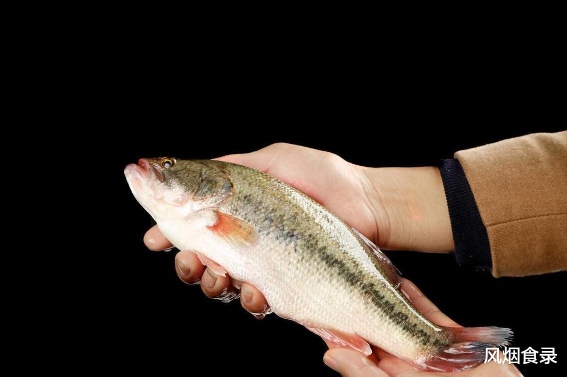 9月，吃啥应季海鲜？渔民推荐这10种，新鲜，肥美，错过再等一年