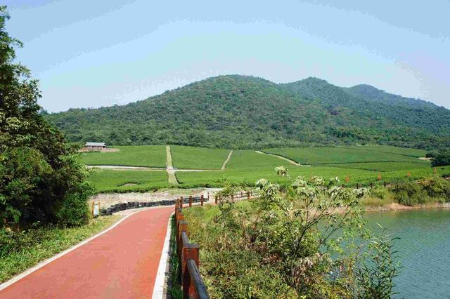 我爸前妻去世，我妈坐3天火车接回我姐，如今她三天两头往娘家跑