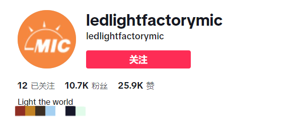 靠TikTok出圈!东莞这家LED企业凭实力征服海外市场