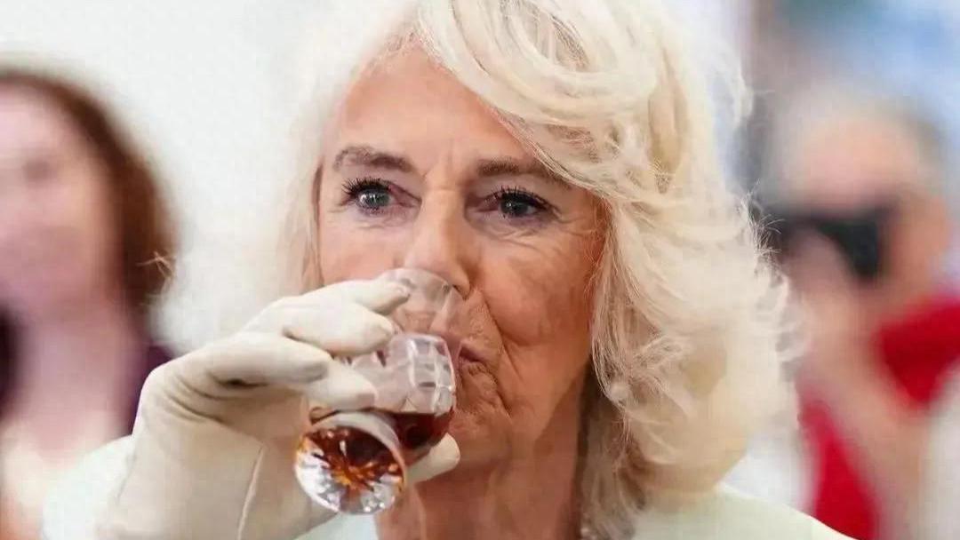 尴尬瞬间：王后形象大翻车？卡米拉凌乱发型引热议，造型师失职