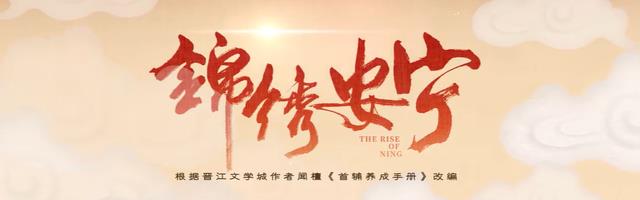 任敏《锦绣安宁》首波口碑出炉！观众的打分评价都“一针见血”