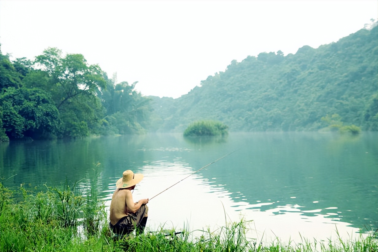 夏日鲫鱼难钓?是你没找到这些秘密地点,没用上这些小技巧!