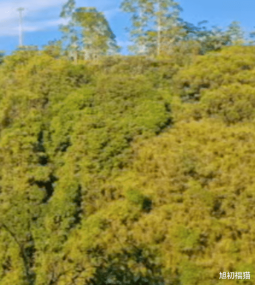 你记得第一次发工资是多少钱嘛