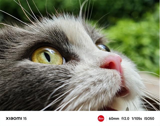 小米15系列影像大突破,预计起售价或将定为4599