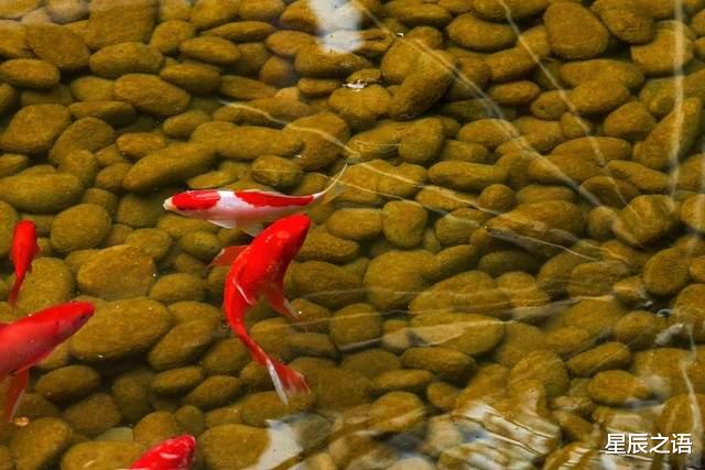 7月下旬,这几个星座将在职场中步步高升,成为众人瞩目的焦点