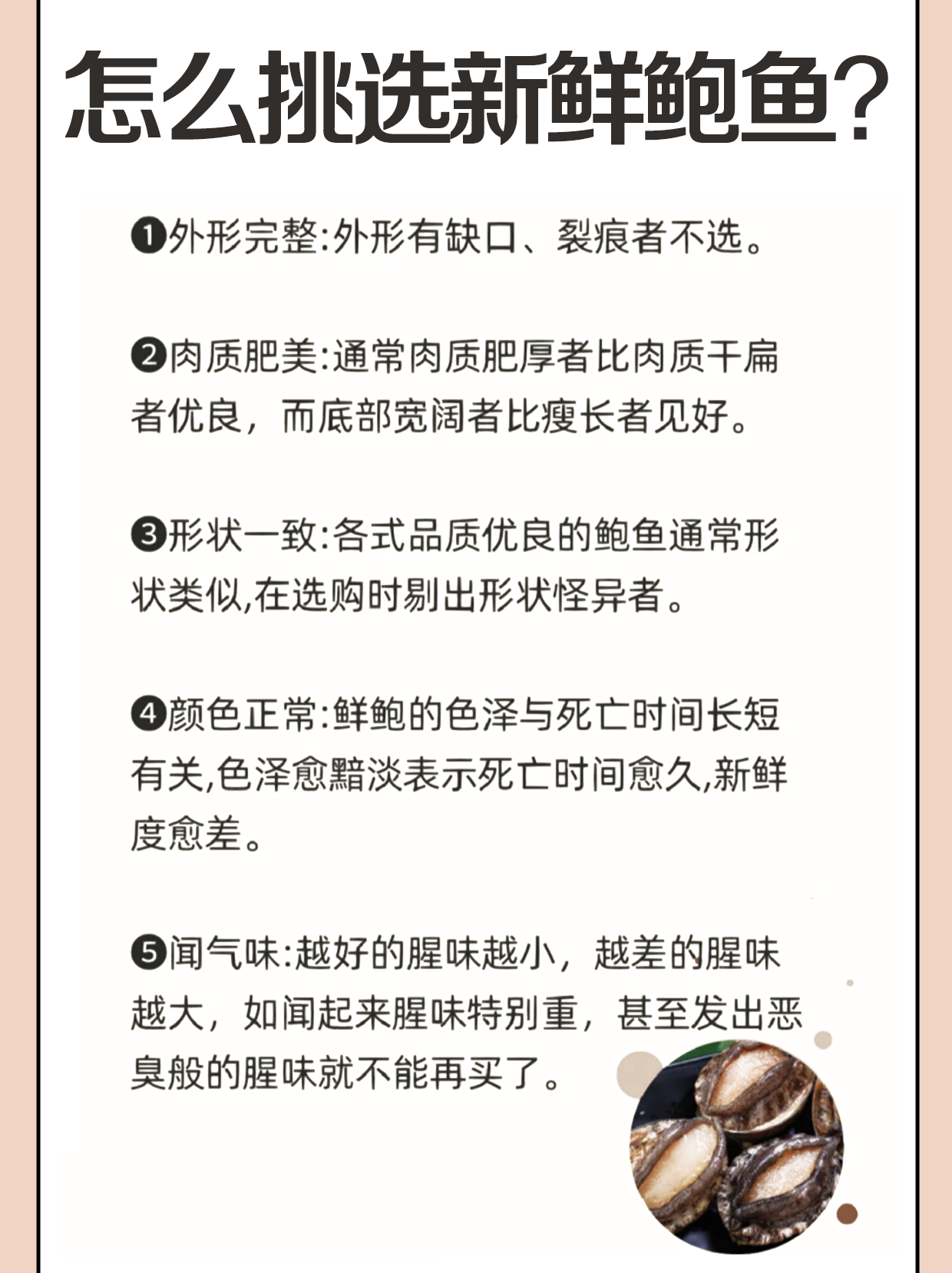 常见的鲍鱼种类大合集