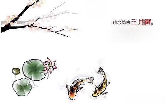 “劝君莫钓三月鲫”？要我说：莫要道德绑架钓鱼人！