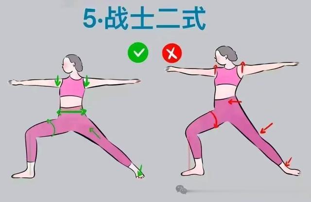 31个瑜伽体式发力走向精准正位图集!